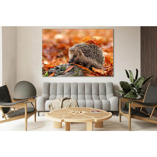 Hedgehog In Autumn Leaves №SL626 Ready to Hang Canvas PrintCanvas art arrives ready to hang, with hanging accessories included and no additional framing required. Every canvas print is hand-crafted, made on-demand at our workshop and expertly stretched ar