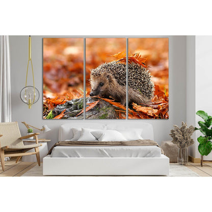 Hedgehog In Autumn Leaves №SL626 Ready to Hang Canvas PrintCanvas art arrives ready to hang, with hanging accessories included and no additional framing required. Every canvas print is hand-crafted, made on-demand at our workshop and expertly stretched ar