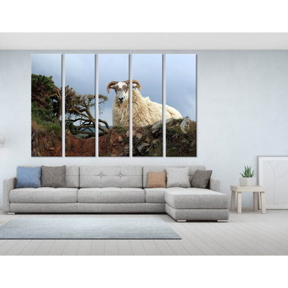 Horned Sheep On The Rock №04249 Ready to Hang Canvas PrintCanvas art arrives ready to hang, with hanging accessories included and no additional framing required. Every canvas print is hand-crafted, made on-demand at our workshop and expertly stretched aro