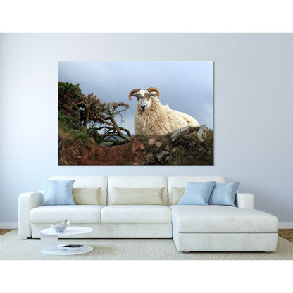 Horned Sheep On The Rock №04249 Ready to Hang Canvas PrintCanvas art arrives ready to hang, with hanging accessories included and no additional framing required. Every canvas print is hand-crafted, made on-demand at our workshop and expertly stretched aro