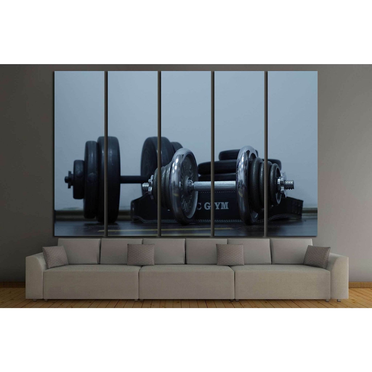 Barbells №1468 Ready to Hang Canvas Print - Zellart Canvas Prints ALL_Products, s-1468