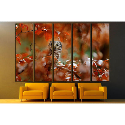 Boreal owl, Aegolius funereus, in the orange larch autumn forest in central Europe №2801 Ready to Hang Canvas PrintCanvas art arrives ready to hang, with hanging accessories included and no additional framing required. Every canvas print is hand-crafted,