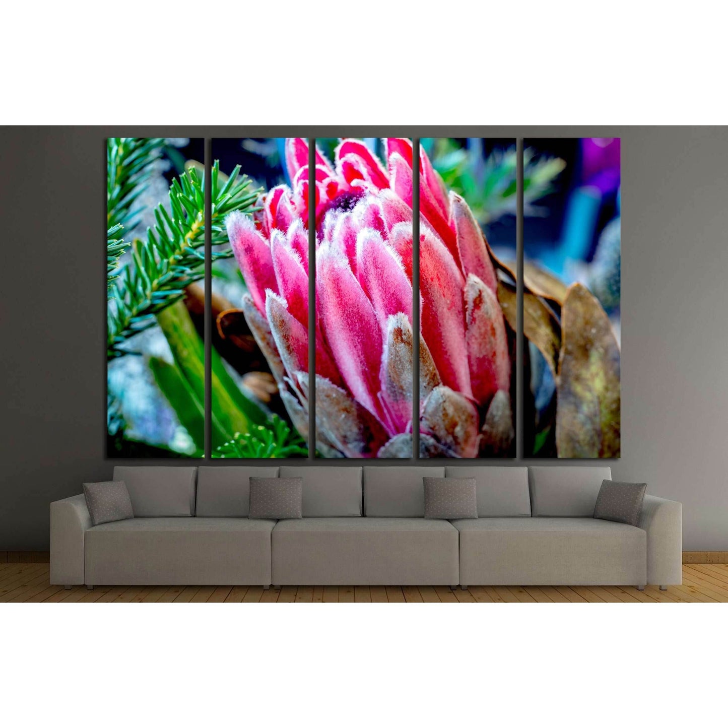 Close up of Protea flower №3271 Ready to Hang Canvas Print - Zellart Canvas Prints ALL_Products, s-3271