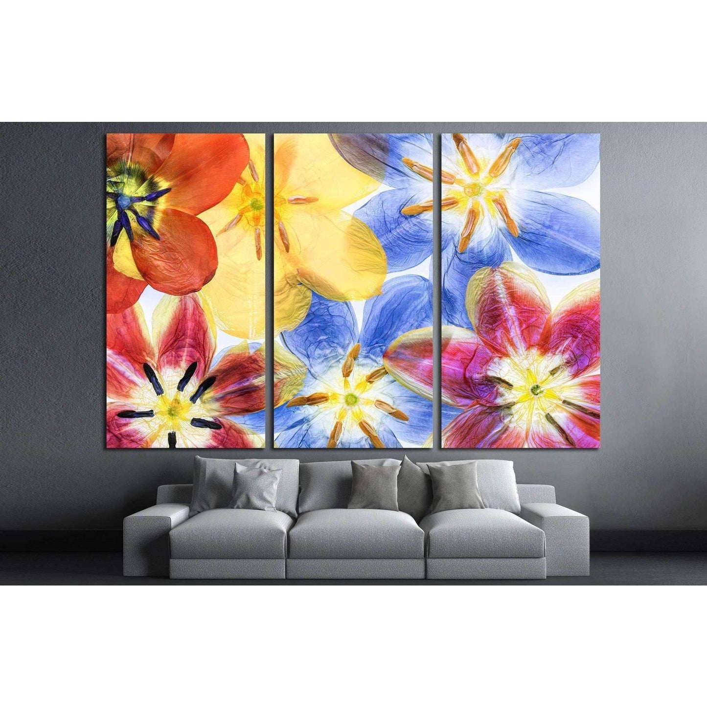 Colourful pressed tulip flowers №1354 Ready to Hang Canvas Print - Zellart Canvas Prints ALL_Products, s-1354