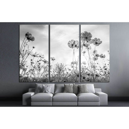 Cosmos flower on black and white background №3272 Ready to Hang Canvas PrintCanvas art arrives ready to hang, with hanging accessories included and no additional framing required. Every canvas print is hand-crafted, made on-demand at our workshop and expe
