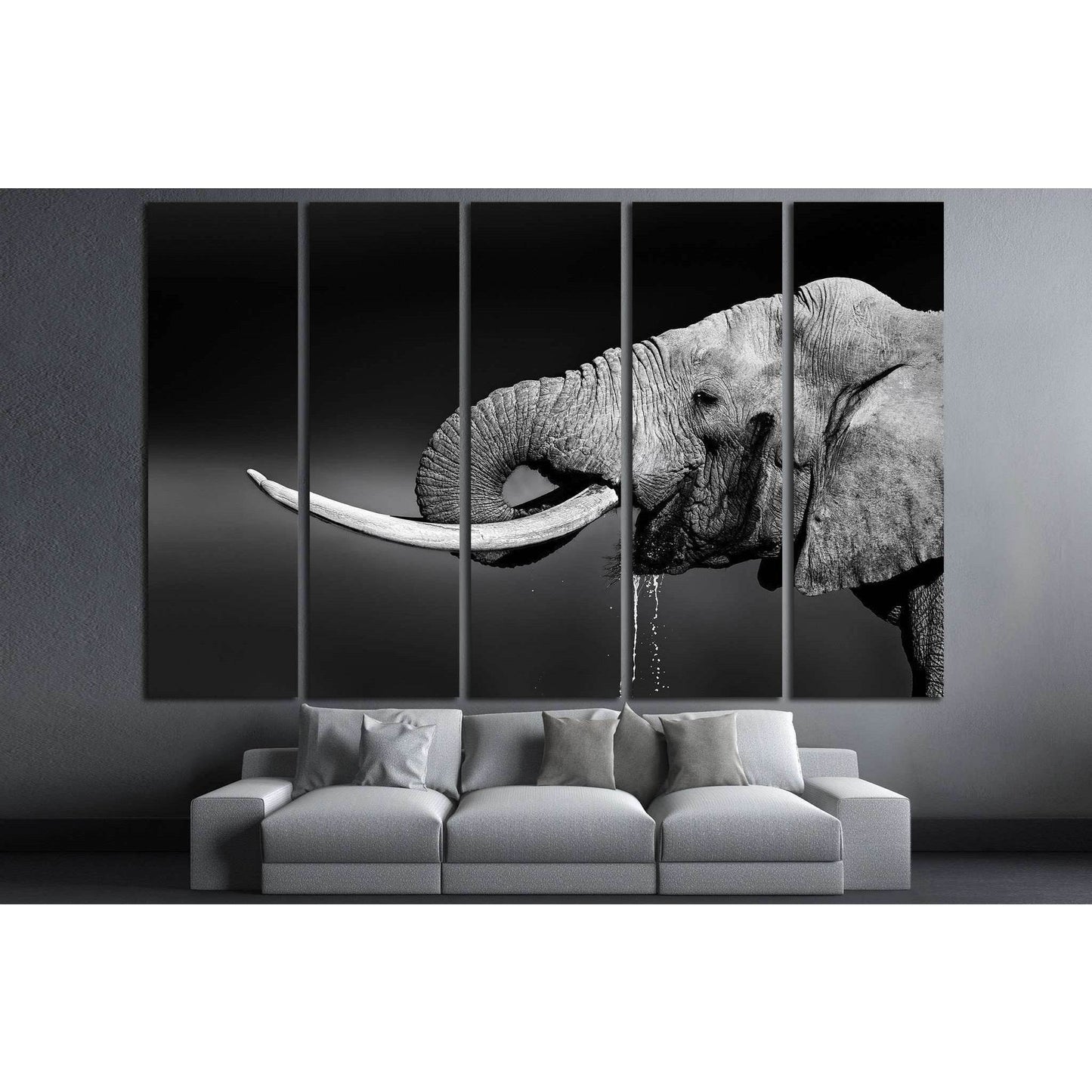 Elephant bull with large tusks in Addo National Park №1330 Ready to Hang Canvas Print - Zellart Canvas Prints ALL_Products, Elephant, s-1330