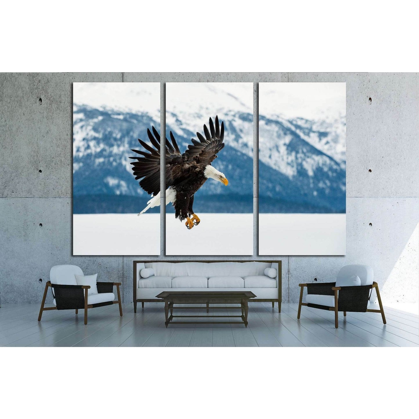 Flying bald eagle, Winter Alaska. USA №1858 Ready to Hang Canvas Print - Zellart Canvas Prints ALL_Products, s-1858