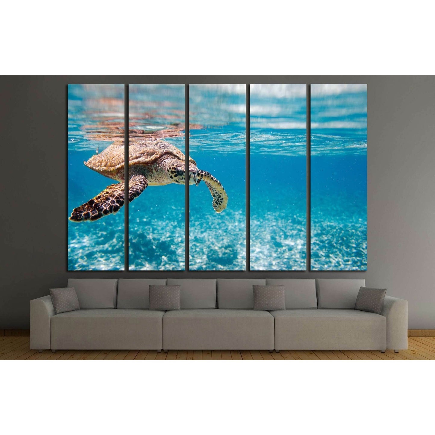 Hawksbill sea turtle swimming in Indian ocean in Seychelles №2336 Ready to Hang Canvas Print - Zellart Canvas Prints ALL_Products, s-2336