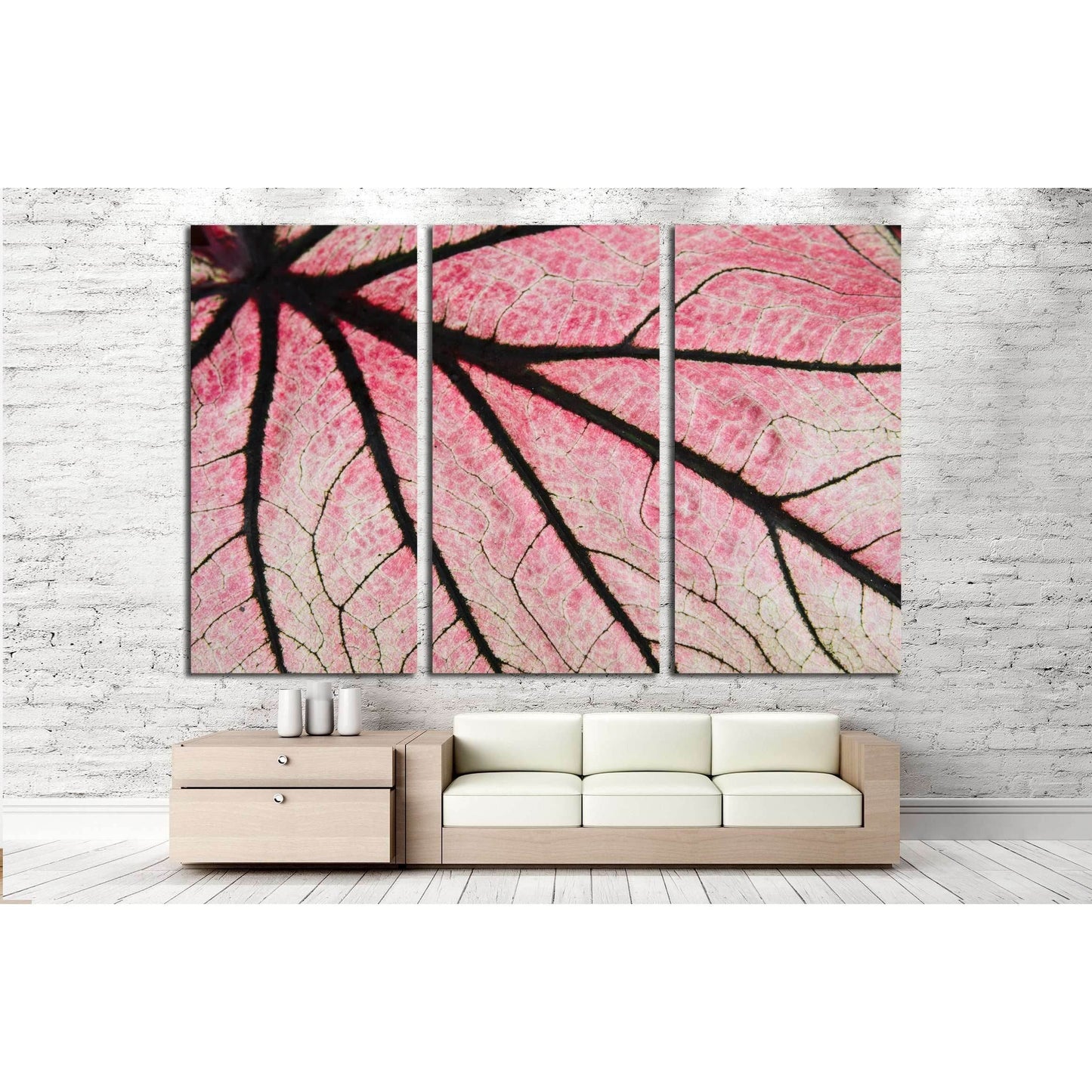 Leaf close up of Caladium №2829 Ready to Hang Canvas Print - Zellart Canvas Prints ALL_Products, s-2829