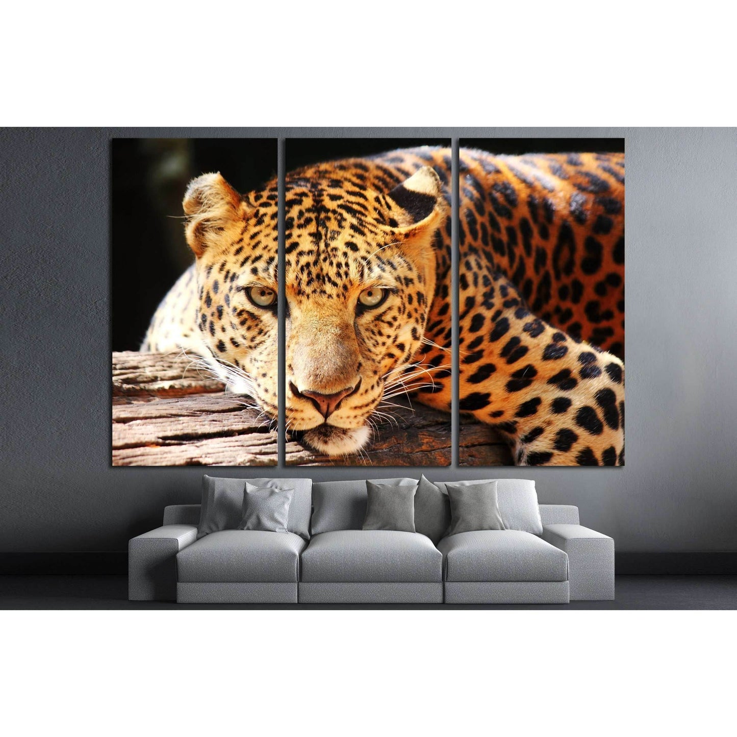 leopard panther resting relax on tree №2349 Ready to Hang Canvas Print - Zellart Canvas Prints ALL_Products, s-2349