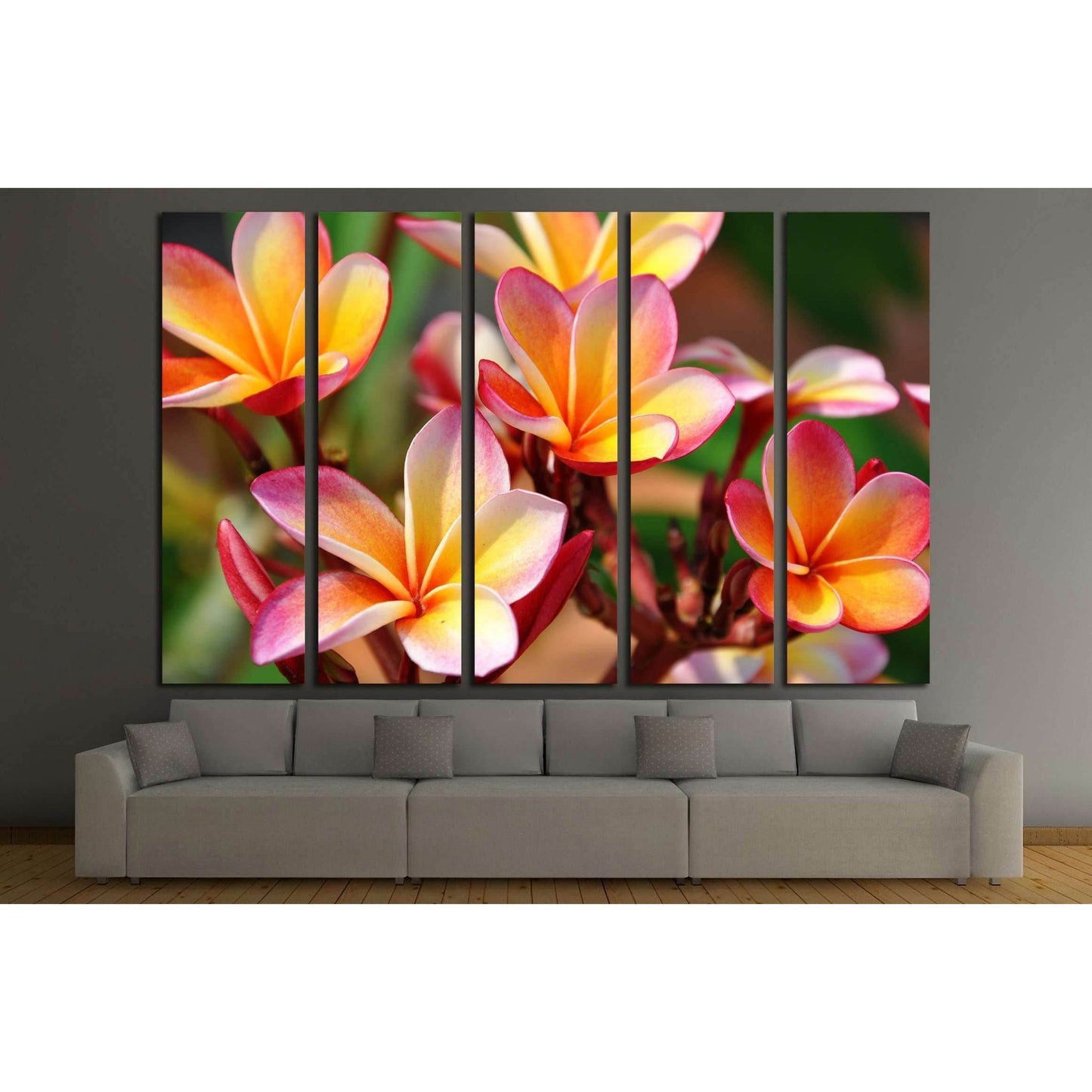 Plumeria. Beautiful pink inflorescence. №2556 Ready to Hang Canvas Print - Zellart Canvas Prints ALL_Products, s-2556