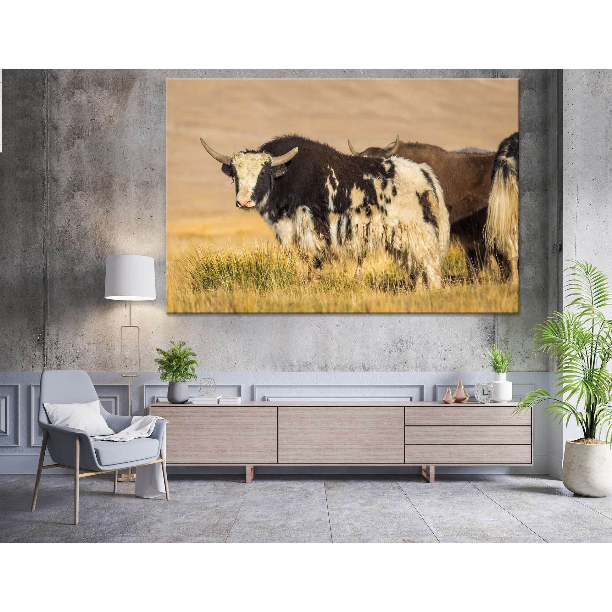 Wild Yak on pasture in the Pamir Mountains №04137 Ready to Hang Canvas PrintCanvas art arrives ready to hang, with hanging accessories included and no additional framing required. Every canvas print is hand-crafted, made on-demand at our workshop and expe