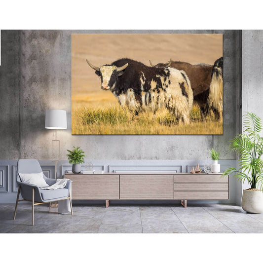 Wild Yak on pasture in the Pamir Mountains №04137 Ready to Hang Canvas PrintCanvas art arrives ready to hang, with hanging accessories included and no additional framing required. Every canvas print is hand-crafted, made on-demand at our workshop and expe