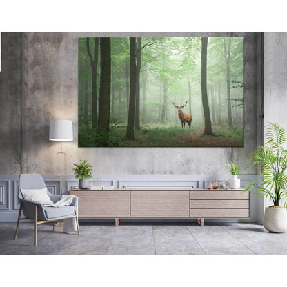 Red deer stag in Lush green fairytale in froggy forest №04142 Ready to Hang Canvas PrintCanvas art arrives ready to hang, with hanging accessories included and no additional framing required. Every canvas print is hand-crafted, made on-demand at our works