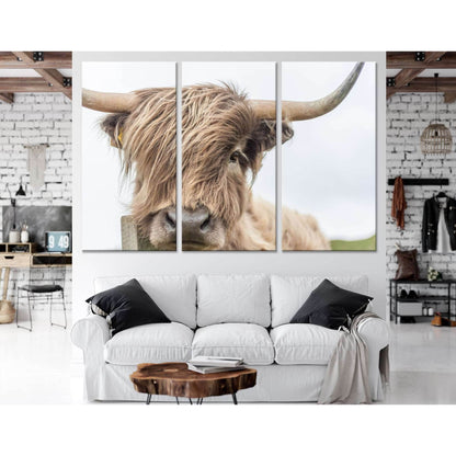 Highland Cow №04123 Ready to Hang Canvas PrintCanvas art arrives ready to hang, with hanging accessories included and no additional framing required. Every canvas print is hand-crafted, made on-demand at our workshop and expertly stretched around 100% Nor