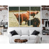 Scottish Highland Cattle №04124 Ready to Hang Canvas Print