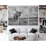 B&W Highland Cow №04125 Ready to Hang Canvas Print