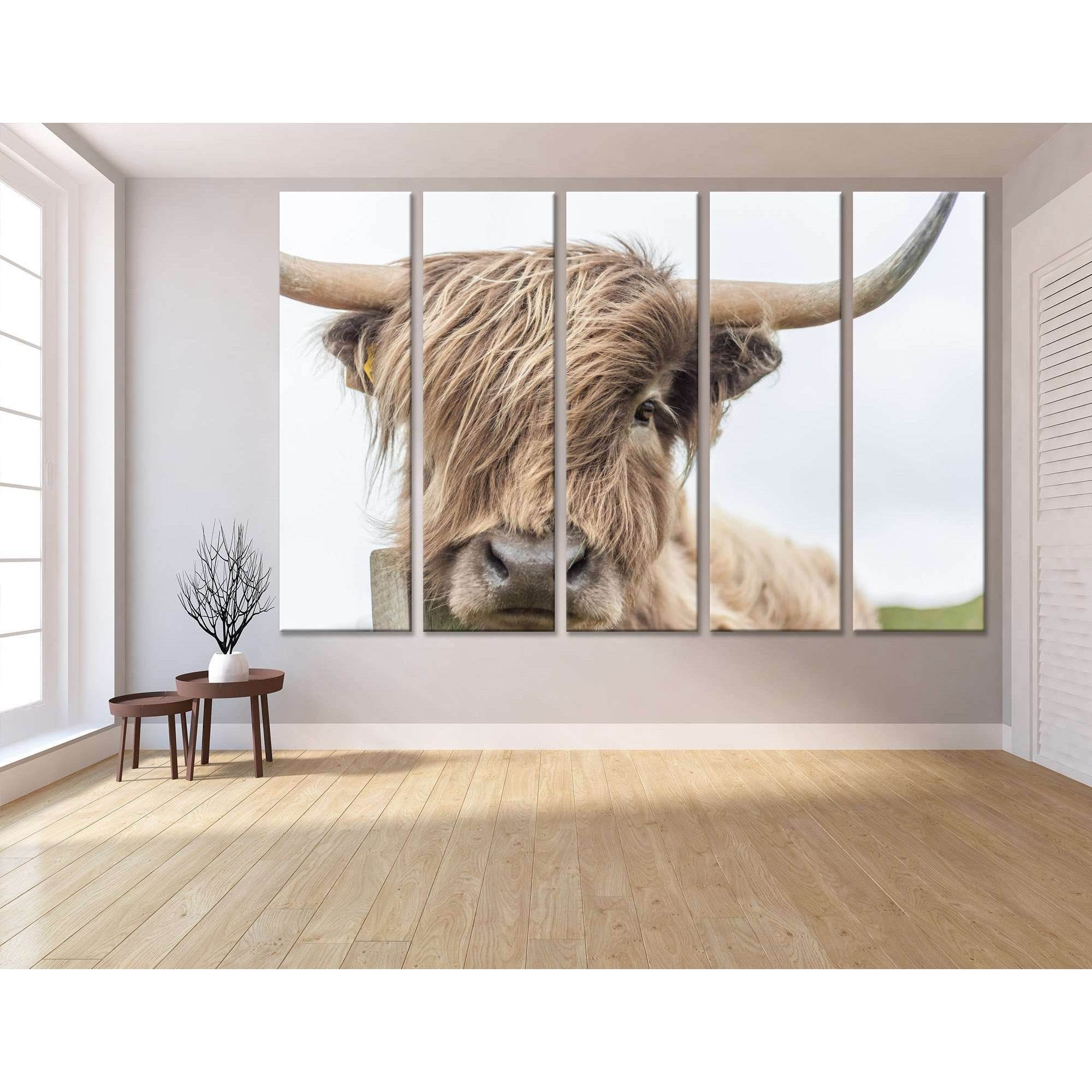 Highland Cow №04123 Ready to Hang Canvas Print