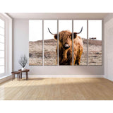 Highland Cow on Islay №04128 Ready to Hang Canvas Print