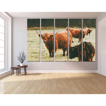 Scottish Highland Cattle №04124 Ready to Hang Canvas PrintCanvas art arrives ready to hang, with hanging accessories included and no additional framing required. Every canvas print is hand-crafted, made on-demand at our workshop and expertly stretched aro