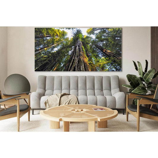 Looking Up At Trees №SL817 Ready to Hang Canvas PrintCanvas art arrives ready to hang, with hanging accessories included and no additional framing required. Every canvas print is hand-crafted, made on-demand at our workshop and expertly stretched around 1