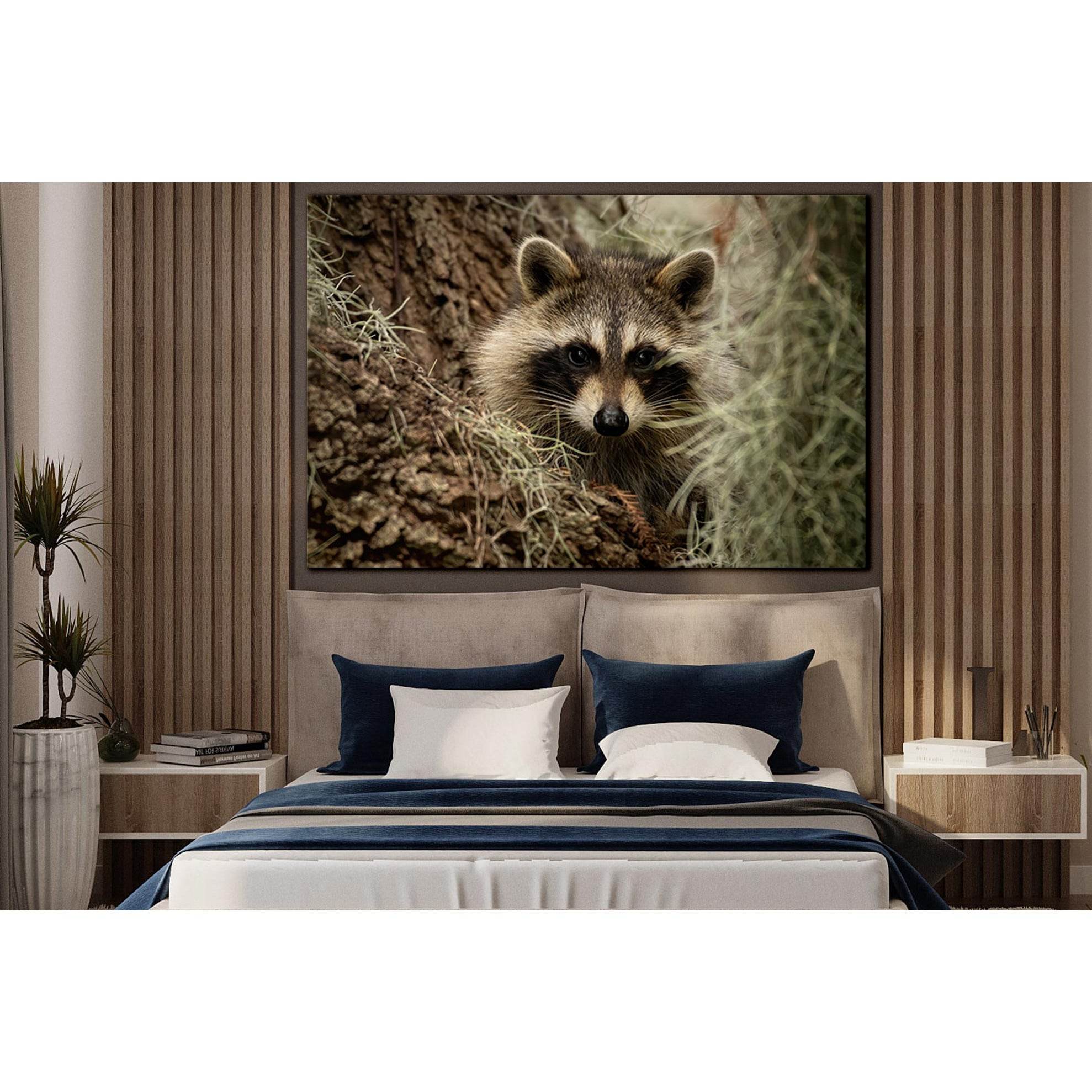 Beautiful Cute Raccoon №SL1532 Ready to Hang Canvas Print