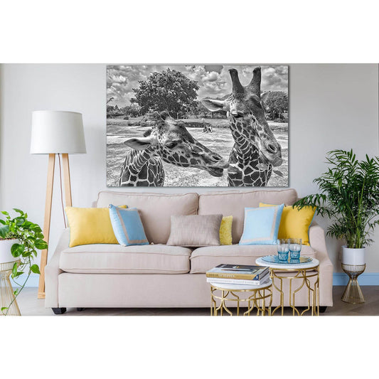 Two Beautiful Giraffes Black And White №SL882 Ready to Hang Canvas PrintCanvas art arrives ready to hang, with hanging accessories included and no additional framing required. Every canvas print is hand-crafted, made on-demand at our workshop and expertly