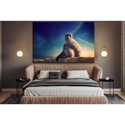 Monkey Sitting On A Stone №SL1526 Ready to Hang Canvas PrintCanvas art arrives ready to hang, with hanging accessories included and no additional framing required. Every canvas print is hand-crafted, made on-demand at our workshop and expertly stretched a