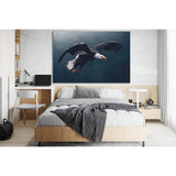 Flying Bald Eagle Wildlife №SL1543 Ready to Hang Canvas Print
