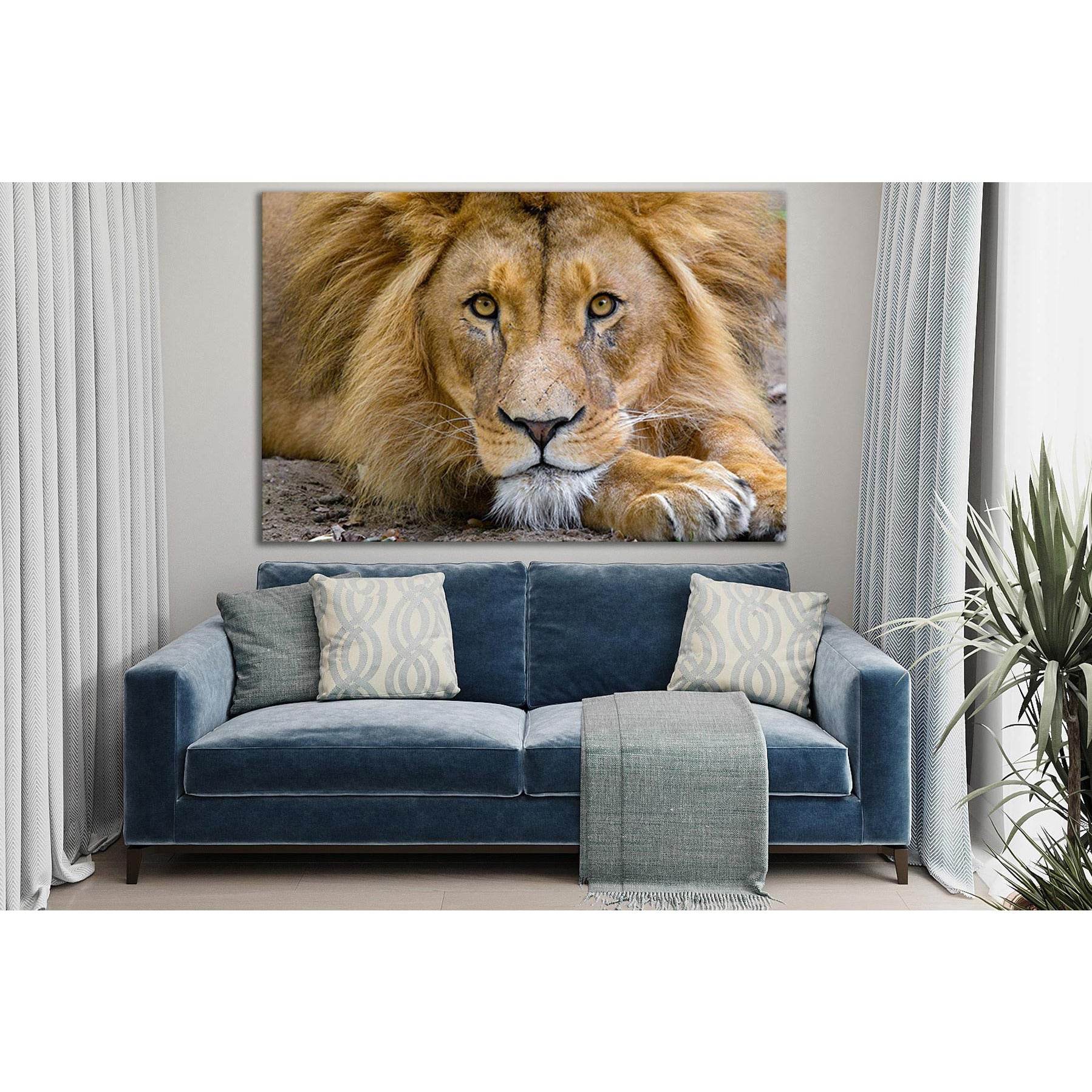 Lion King Of Beasts №SL1529 Ready to Hang Canvas Print