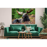 Elk Resting In The Meadow №SL1547 Ready to Hang Canvas Print