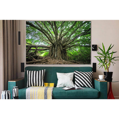 Tropical Tree №SL1080 Ready to Hang Canvas PrintCanvas art arrives ready to hang, with hanging accessories included and no additional framing required. Every canvas print is hand-crafted, made on-demand at our workshop and expertly stretched around 100% N