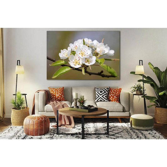 Flowering Pear №SL495 Ready to Hang Canvas PrintCanvas art arrives ready to hang, with hanging accessories included and no additional framing required. Every canvas print is hand-crafted, made on-demand at our workshop and expertly stretched around 100% N