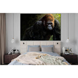 Gorilla Close Up №SL1508 Ready to Hang Canvas Print