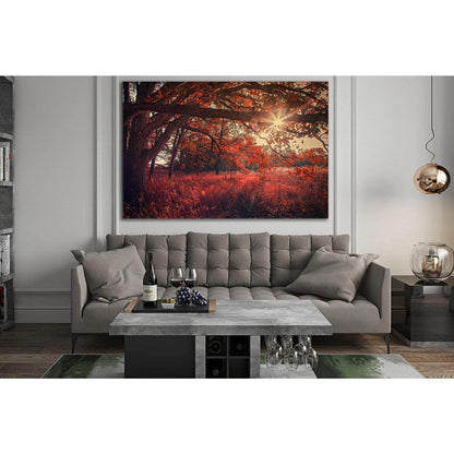 Autumn, Sun Rays, Trees №SL627 Ready to Hang Canvas PrintCanvas art arrives ready to hang, with hanging accessories included and no additional framing required. Every canvas print is hand-crafted, made on-demand at our workshop and expertly stretched arou