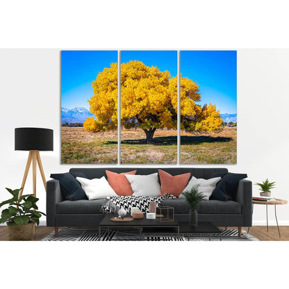 Beautiful Autumn Tree In The Field №SL1077 Ready to Hang Canvas PrintCanvas art arrives ready to hang, with hanging accessories included and no additional framing required. Every canvas print is hand-crafted, made on-demand at our workshop and expertly st