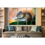 Little Chipmunk With Nuts №SL1516 Ready to Hang Canvas Print
