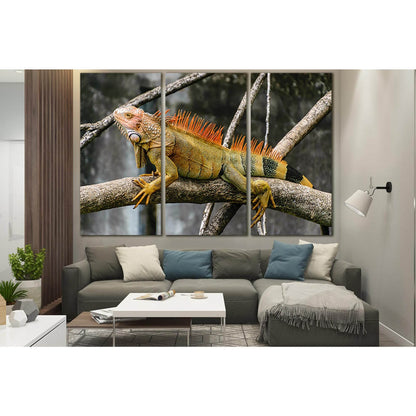 Iguana Sitting On A Branch №SL1506 Ready to Hang Canvas PrintCanvas art arrives ready to hang, with hanging accessories included and no additional framing required. Every canvas print is hand-crafted, made on-demand at our workshop and expertly stretched