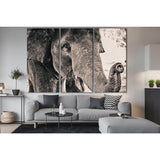 Big Elephant Monochrome Portrait №SL1505 Ready to Hang Canvas Print