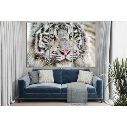 White Bengal Tiger №SL1545 Ready to Hang Canvas PrintCanvas art arrives ready to hang, with hanging accessories included and no additional framing required. Every canvas print is hand-crafted, made on-demand at our workshop and expertly stretched around 1