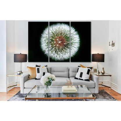 Dandelion Flower №SL692 Ready to Hang Canvas PrintCanvas art arrives ready to hang, with hanging accessories included and no additional framing required. Every canvas print is hand-crafted, made on-demand at our workshop and expertly stretched around 100%