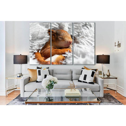 Cute Sleeping Squirrel №SL1511 Ready to Hang Canvas PrintCanvas art arrives ready to hang, with hanging accessories included and no additional framing required. Every canvas print is hand-crafted, made on-demand at our workshop and expertly stretched arou