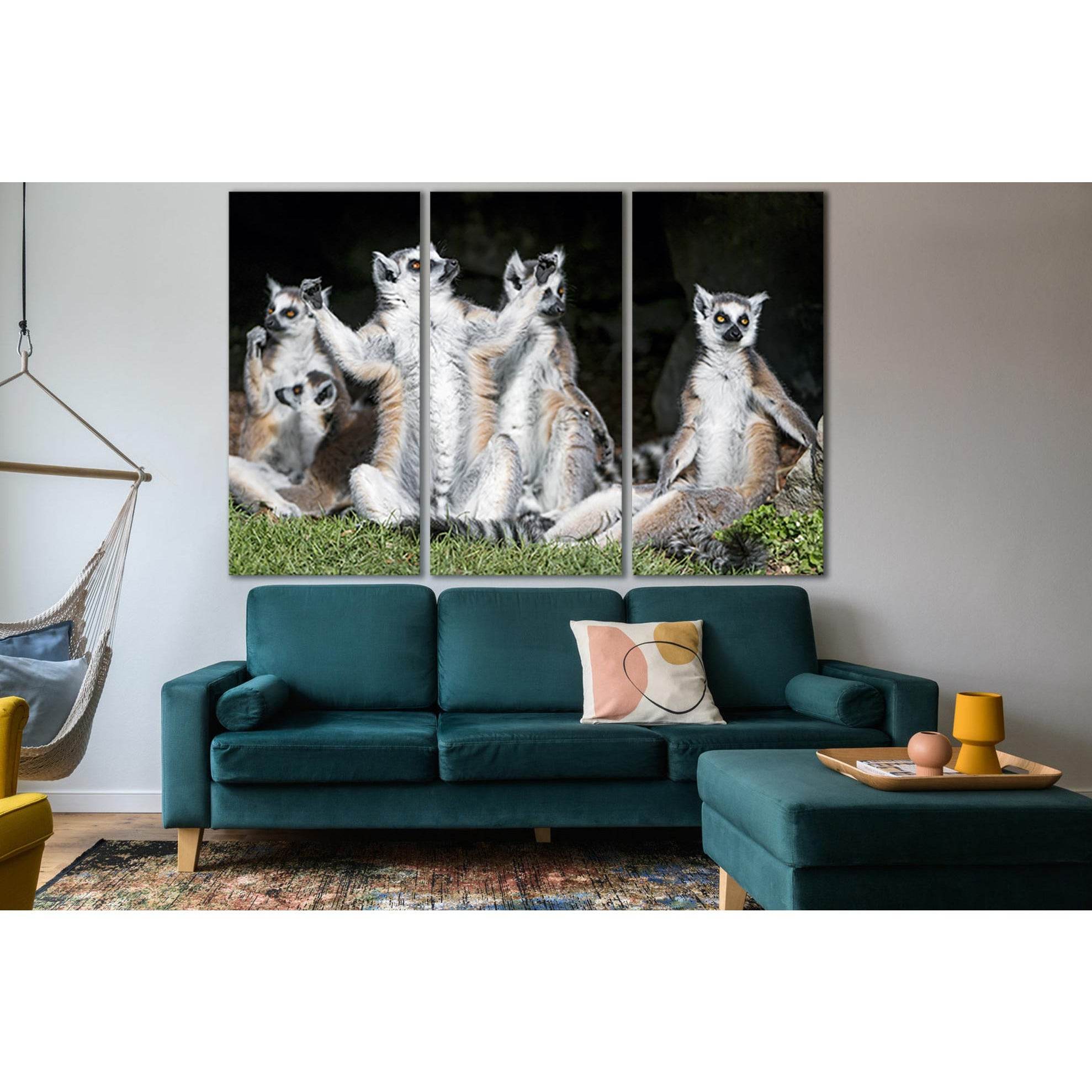 Funny Ring Tailed Lemurs №SL1544 Ready to Hang Canvas Print