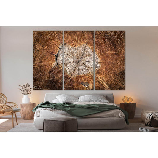 Wood Texture №SL496 Ready to Hang Canvas PrintCanvas art arrives ready to hang, with hanging accessories included and no additional framing required. Every canvas print is hand-crafted, made on-demand at our workshop and expertly stretched around 100% Nor