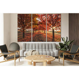 Autumn Fall Season Trees №SL1490 Ready to Hang Canvas Print