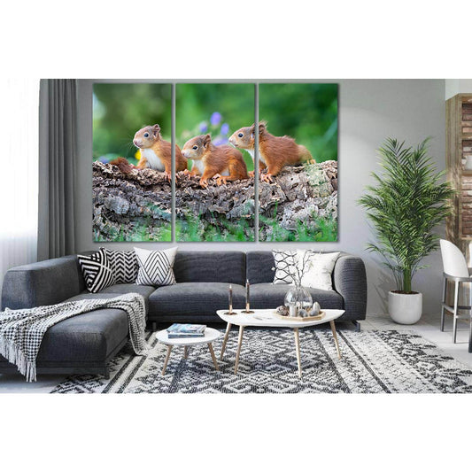 Three Cute Squirrels №SL1514 Ready to Hang Canvas PrintCanvas art arrives ready to hang, with hanging accessories included and no additional framing required. Every canvas print is hand-crafted, made on-demand at our workshop and expertly stretched around