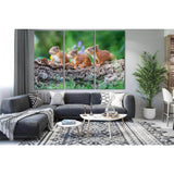 Three Cute Squirrels №SL1514 Ready to Hang Canvas Print