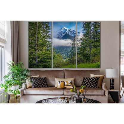USA Mount Rainier National Park №SL1076 Ready to Hang Canvas PrintCanvas art arrives ready to hang, with hanging accessories included and no additional framing required. Every canvas print is hand-crafted, made on-demand at our workshop and expertly stret