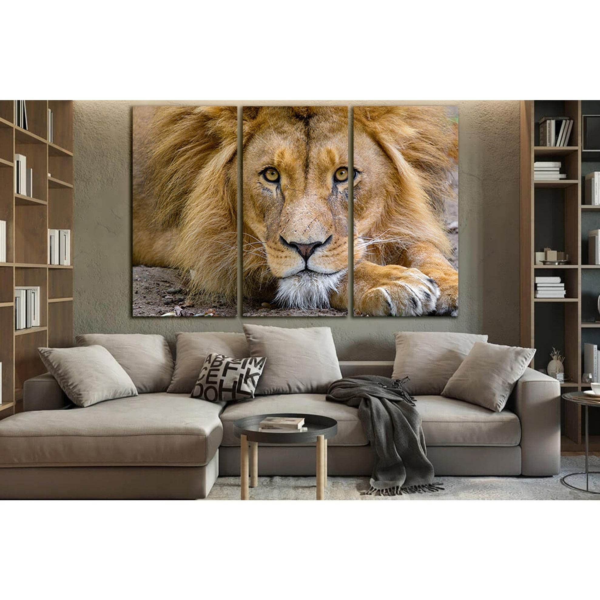 Lion King Of Beasts №SL1529 Ready to Hang Canvas Print