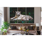 Rare White Tiger №SL1537 Ready to Hang Canvas Print